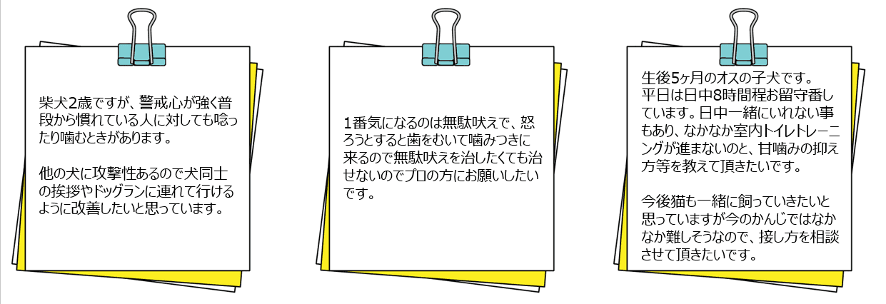 依頼内容 依頼内容